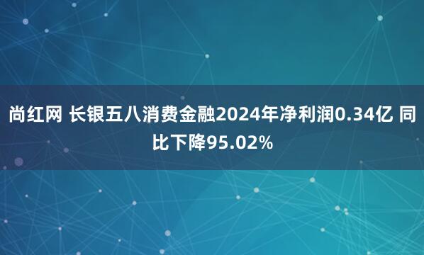 尚红网 长银五八消费金融2024年净利润0.34亿 同比下降95.02%