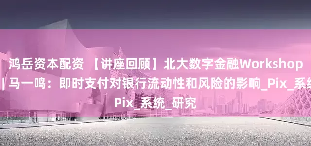 鸿岳资本配资 【讲座回顾】北大数字金融Workshop第六讲 | 马一鸣：即时支付对银行流动性和风险的影响_Pix_系统_研究