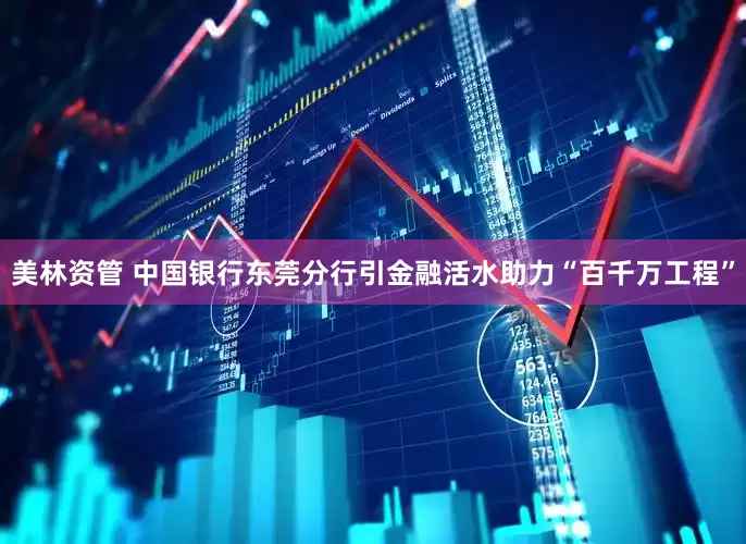 美林资管 中国银行东莞分行引金融活水助力“百千万工程”